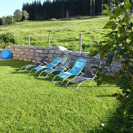 Apartment Birnhornblick Leogang