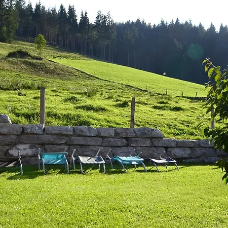Birnhornblick Leogang
