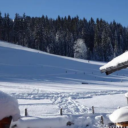 Birnhornblick Apartamento Leogang