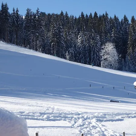 Birnhornblick Apartmán *