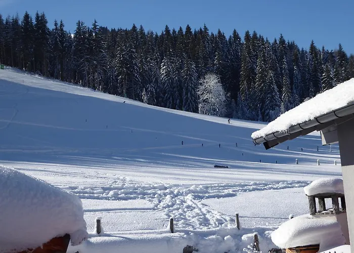 Birnhornblick Апартаменты Леоганг