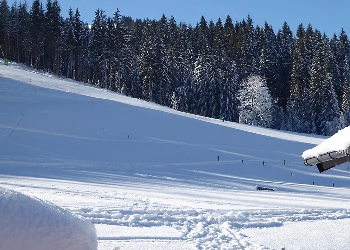 Birnhornblick Apartamento *